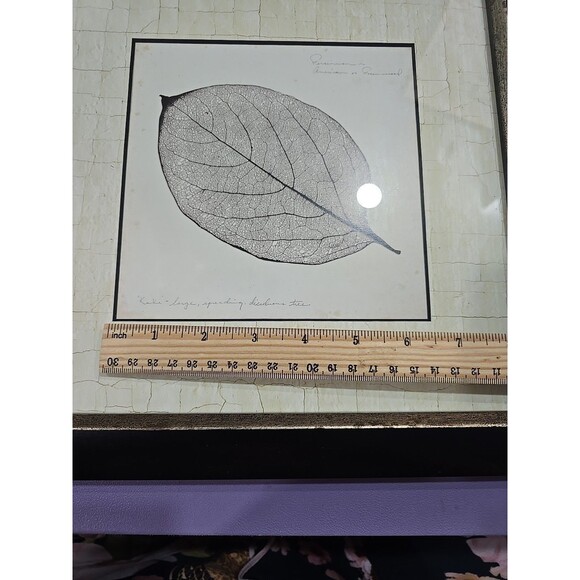Persimmon Leaf Booker Morey Framed Art Print 13x13 SIGNED RARE - Picture 8 of 9
